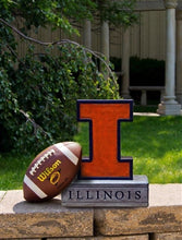 ION College University of Illinois Block "I" Stone Mascot