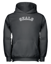 Seals Carch Youth Hoodie
