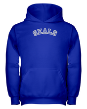 Seals Carch Youth Hoodie