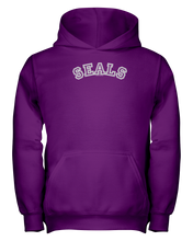 Seals Carch Youth Hoodie