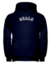 Seals Carch Youth Hoodie