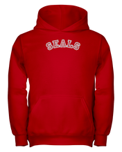 Seals Carch Youth Hoodie