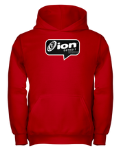 ION Detroit Conversation Youth Hoodie