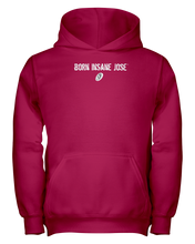 Family Famous Born Insane Jose Youth Hoodie