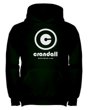 Family Famous Crandall Circle Vibe Youth Hoodie