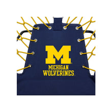 ION Furniture University of Michigan Premium Bungee Chair