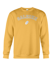Family Famous Galecke Carch Sweatshirt