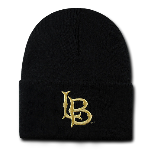 ION College California State University Long Beach Skullion Hat - by W Republic