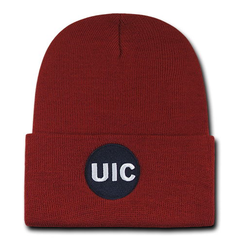 ION College University of Illinois at Chicago Skullion Hat - by W Republic