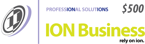 ION Business $500.00 Payment