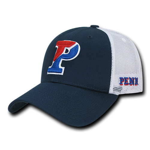 ION College University of Pennsylvania Instrucktion Hat - by W Republic