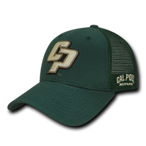 ION College California Polytechnic State University Instrucktion Hat - by W Republic