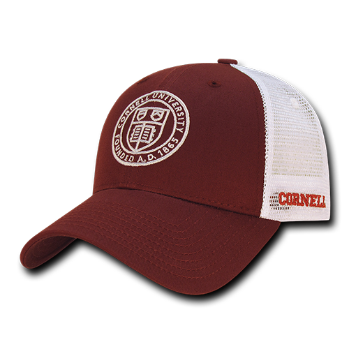ION College Cornell University Instrucktion Hat - by W Republic