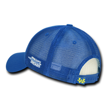 ION College San Jose State University Instrucktion Hat - by W Republic