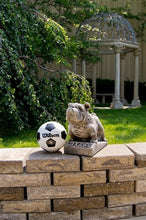 ION College University of Georgia Bulldog "UGA" Stone Mascot