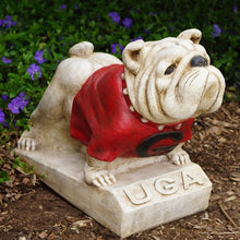 ION College University of Georgia Bulldog "UGA" Stone Mascot