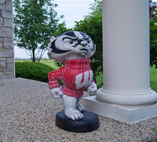 ION College University of Wisconsin "Bucky Badger" Stone Mascot