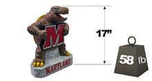 ION College University of Maryland "Testudo" Stone Mascot