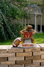 ION College University of Maryland "Testudo" Stone Mascot