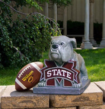 ION College Mississippi State University "Bully" Stone Mascot