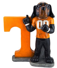 ION College University of Tennessee "Smokey" Stone Mascot