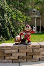 ION College Ohio State University "Brutus Buckeye" Stone Mascot