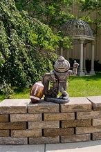 ION College Ohio State University "Brutus Buckeye" Stone Mascot