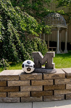 ION College University of Michigan "M" Stone Mascot