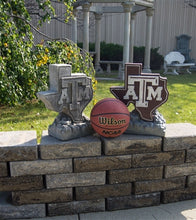 ION College Texas A&M University Lone Star Logo Stone Mascot