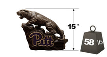 ION College University of Pittsburgh Panther Stone Mascot