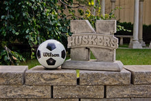 ION College University of Nebraska Huskers Logo Stone Mascot