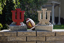 ION College Indiana University IU Trident Stone Mascot