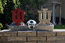 ION College Indiana University IU Trident Stone Mascot