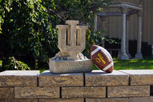 ION College Indiana University IU Trident Stone Mascot