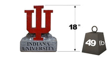 ION College Indiana University IU Trident Stone Mascot