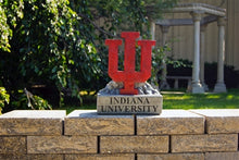 ION College Indiana University IU Trident Stone Mascot