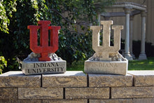 ION College Indiana University IU Trident Stone Mascot