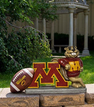 ION College University of Minnesota "Goldy Gopher" Stone Mascot