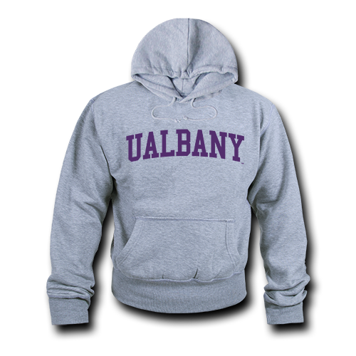 ION College University at Albany Collegion™ Hoodie - by W Republic