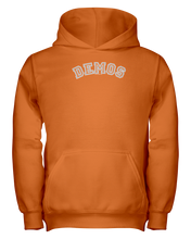 Family Famous Demos Carch Youth Hoodie