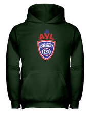 AVL High School Logo RWB Youth Hoodie