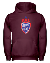 AVL High School Logo RWB Youth Hoodie