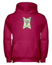 La Crescenta Montrose Hall of Family 01 Youth Hoodie