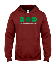 ION La Canada Flintridge 3D Hoodie