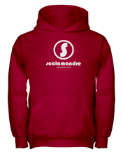 Family Famous Scalamandre Circle Vibe Youth Hoodie