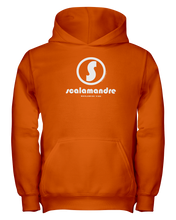 Family Famous Scalamandre Circle Vibe Youth Hoodie
