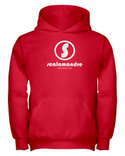 Family Famous Scalamandre Circle Vibe Youth Hoodie