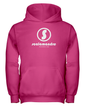 Family Famous Scalamandre Circle Vibe Youth Hoodie