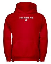 Family Famous Born Insane Jose Youth Hoodie