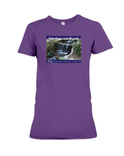 ION Fabro Fabrolous Averill Park Ladies Tee